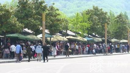 连云港景区提前部署 应对清明假期游客高峰